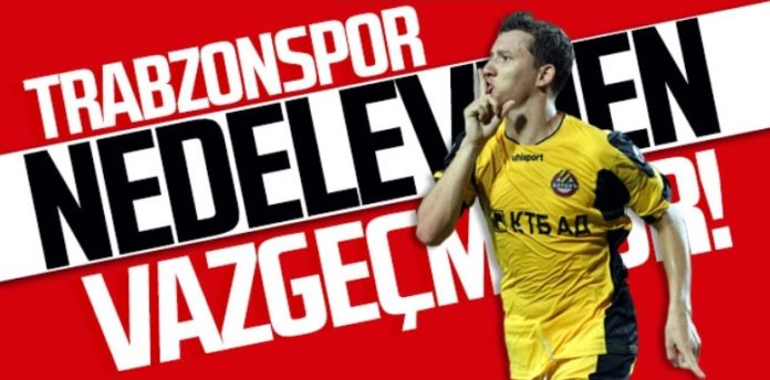 01nedelev