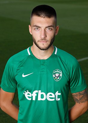 dimitar mitkov