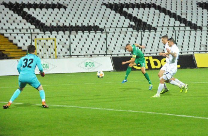 beroe slaviq martin kamburov