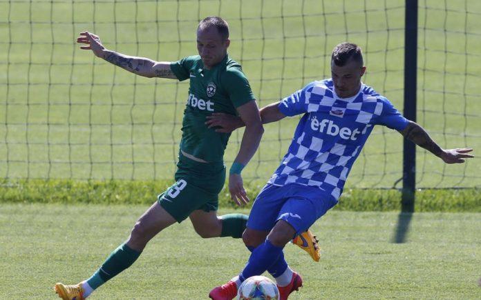 ludogorets -montana