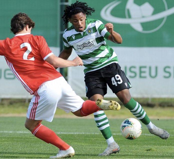 bruno tavares