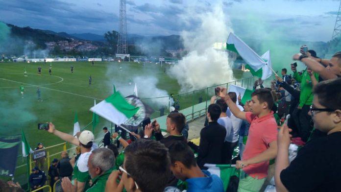 pirin fenove