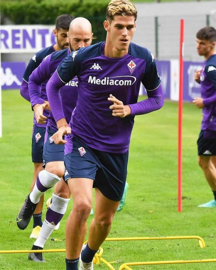 dimo krastov