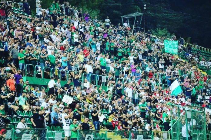 pirin fenove