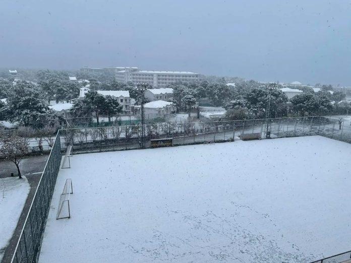 belek snqg