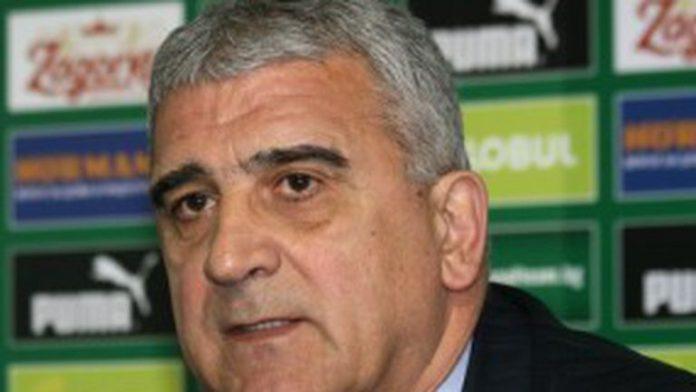 dimo momirov