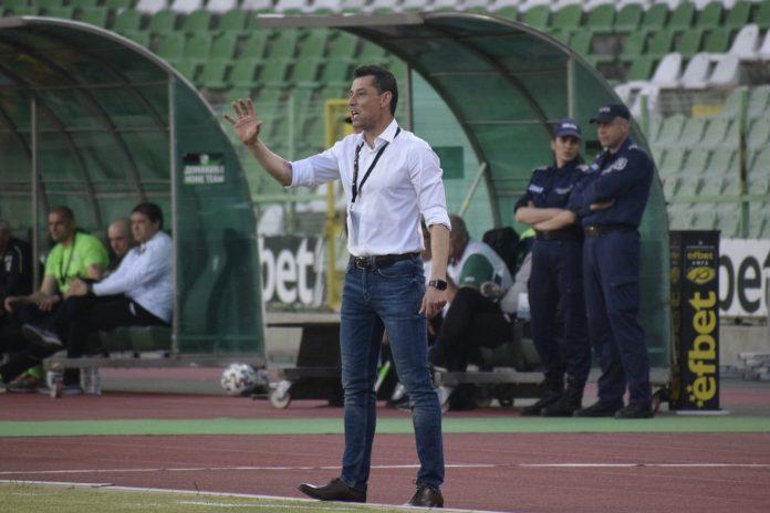 aleksandar tomash