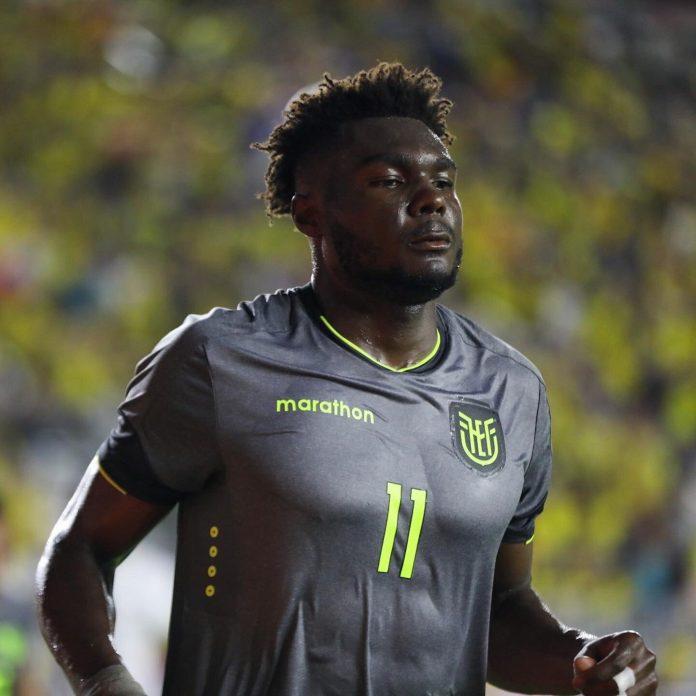 jordi kaisedo