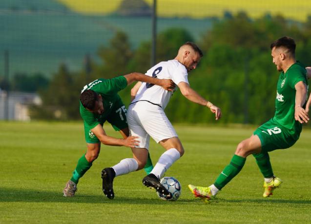 rodopa - ludogorets-2