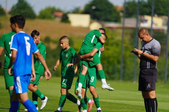 ludogorets 2008