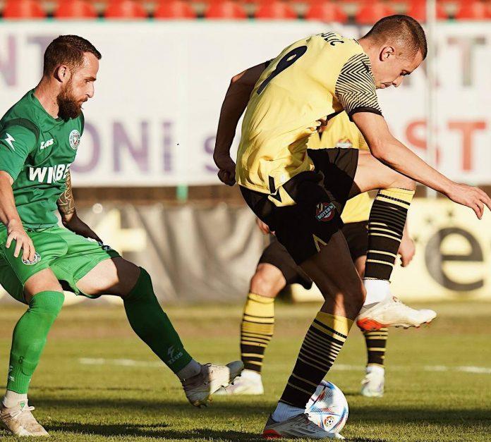 martin sekulich
