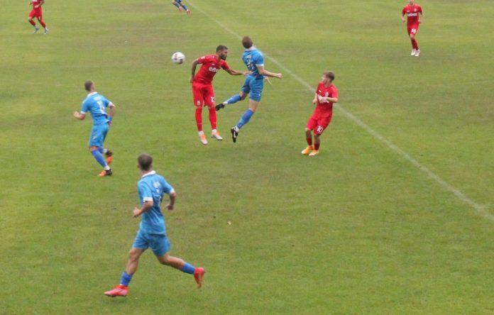 sportist svoge belasica
