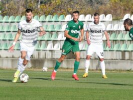 beroe qntra kaloqn krastev