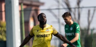 elvis manu