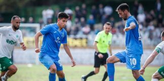 ivelin popov asen mitkov