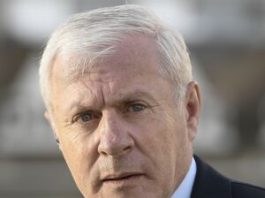 luis fernandez