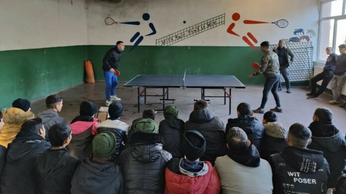 PLAMENANDREEV PLAMENANDREEV