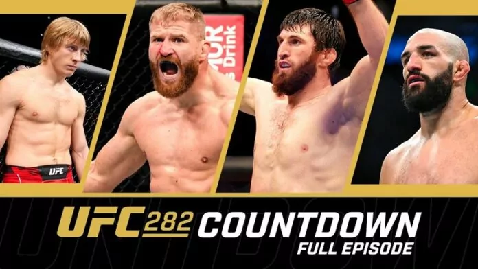 UFC282