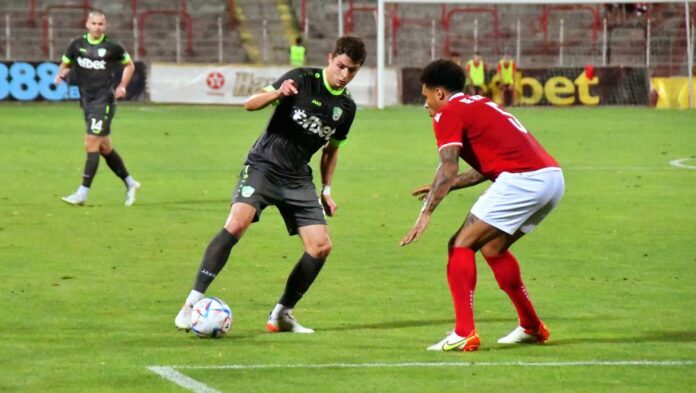 dimitarstoyanov dimitarstoyanov