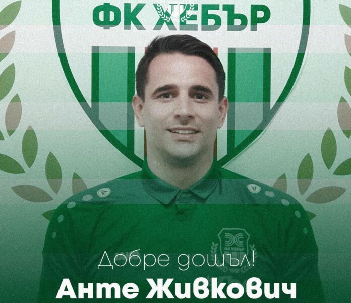 ante jivkovich ante jivkovich