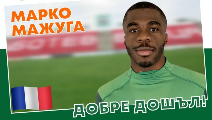marko majuga marko majuga