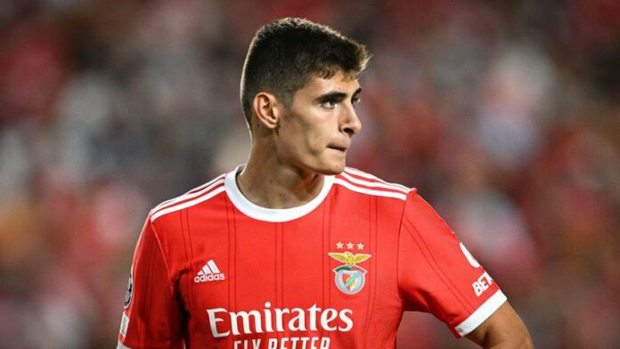 Silva Silva