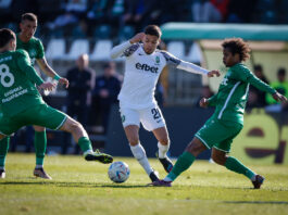 hebar ludogorets gustavo nonato