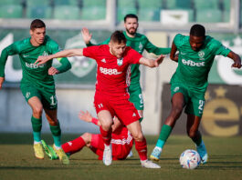 ludogorets pirin
