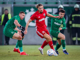 ludogorets pirin chebrail makreckis