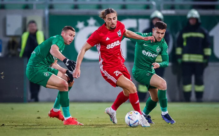 ludogorets pirin chebrail makreckis