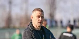 vladimir manchev