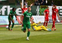 beroe pirin simeon mechev