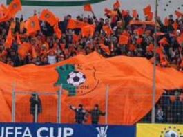litex fenove
