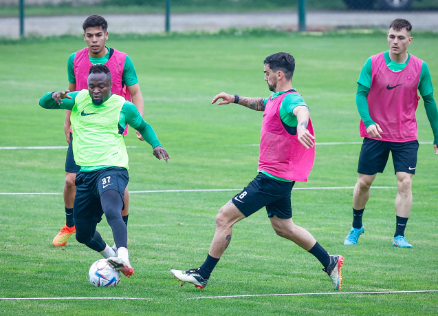 ludogorets ludogorets