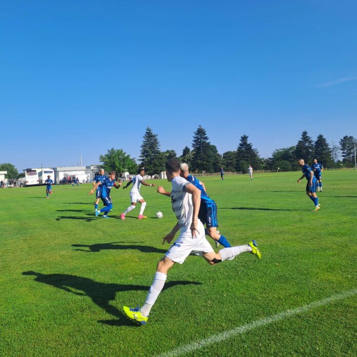 beroe chernomoretz beroe chernomoretz
