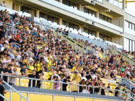 botev plovdiv fenove