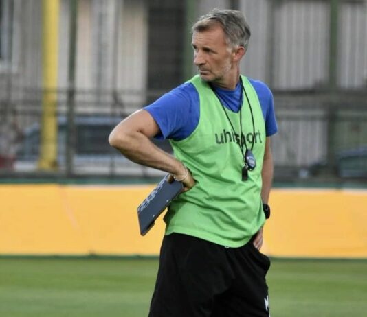 nemanq milanovich