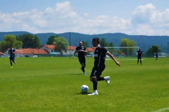 pirin razlog kontrola