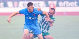 aleks jelev