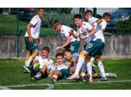 balgaria 15