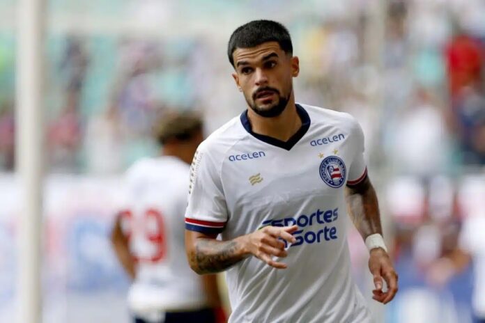 cauly bahia cauly bahia