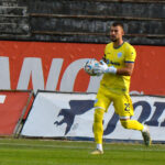 ivan diulgerov