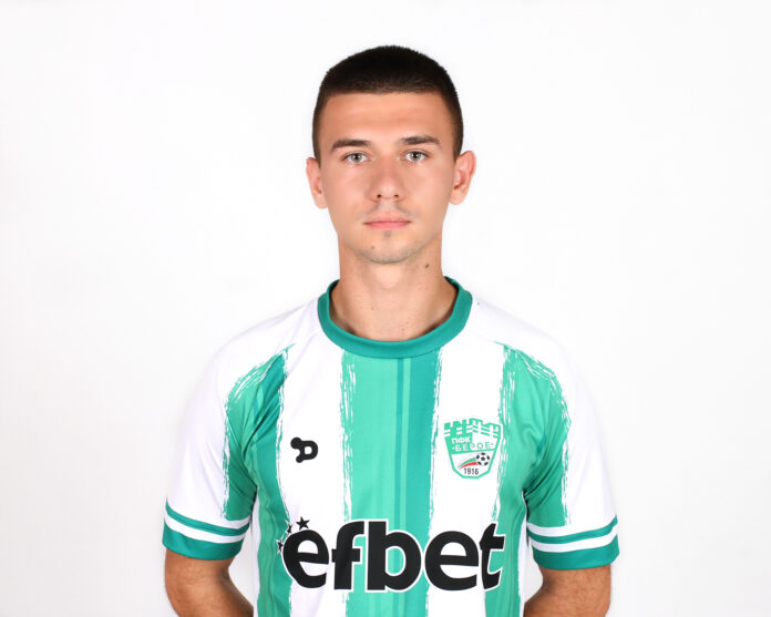 stefan gavrilov stefan gavrilov