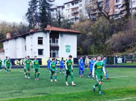 rodapa nesebar