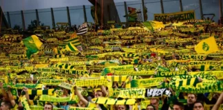 nant fans