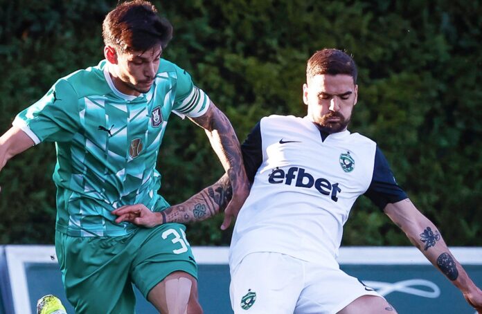 ludogorets ludogorets