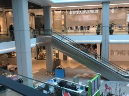 426132597 929688718678655 6141570457915865433 n