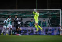 beroe ludogorets serdjio padt