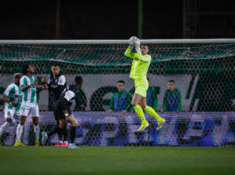 beroe ludogorets serdjio padt