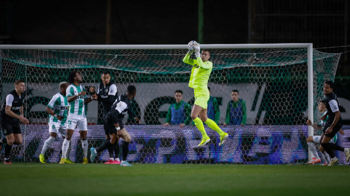 beroe ludogorets serdjio padt beroe ludogorets serdjio padt
